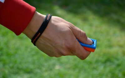 ¿Qué es el clicker en el entrenamiento canino y para qué sirve?