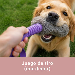 Juego de tiro